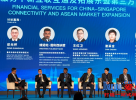 重庆渝中亮相新加坡2025陆海财经论坛